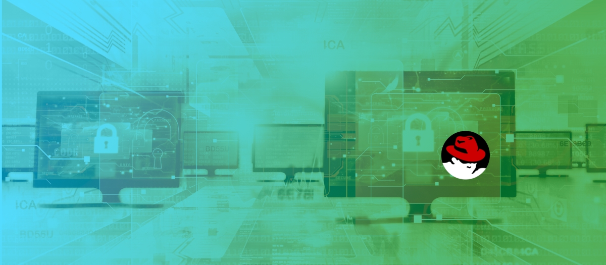 successful IT career 